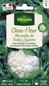 Chou-Fleur Merveille des 4 Saisons